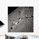 Oblique Moon's Surface Wall Decal