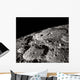 International Astronomical Union Crater Wall Decal