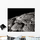 International Astronomical Union Crater Wall Decal
