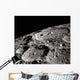 International Astronomical Union Crater Wall Decal