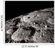 International Astronomical Union Crater Wall Decal