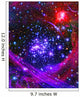 Arches Star Cluster Wall Decal