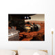 Close-up Arm Nasa's Mars Wall Decal