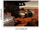 Close-up Arm Nasa's Mars Wall Decal
