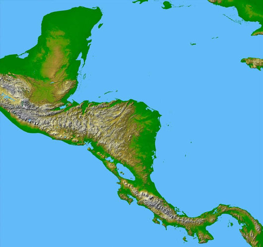 Topographic Central America Wall Decal