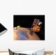 Artist's Concept Mars Odyssey Wall Decal