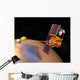 Artist's Concept Mars Odyssey Wall Decal