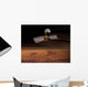 Mars Reconnaissance Orbiter Wall Decal Design 1