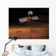 Mars Reconnaissance Orbiter Wall Decal Design 1