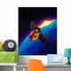 Artist's Concept Galaxy Evolution Wall Decal