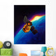 Artist's Concept Galaxy Evolution Wall Decal