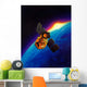 Artist's Concept Galaxy Evolution Wall Decal