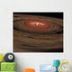 Brown Dwarf Surrounded Swirling Wall Decal