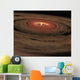 Brown Dwarf Surrounded Swirling Wall Decal