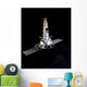 Ranger Fleet Spacecraft Wall Decal