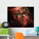 Carina Nebula Wall Decal