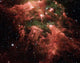 Carina Nebula Wall Decal