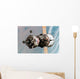 Soyuz Tma-6 Spacecraft Wall Decal Design 1