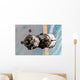 Soyuz Tma-6 Spacecraft Wall Decal Design 1