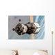Soyuz Tma-6 Spacecraft Wall Decal Design 1