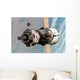 Soyuz Tma-6 Spacecraft Wall Decal Design 1