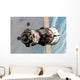 Soyuz Tma-6 Spacecraft Wall Decal Design 1