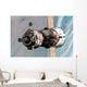 Soyuz Tma-6 Spacecraft Wall Decal Design 1