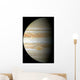 Jupiter Mosaic Wall Decal