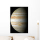 Jupiter Mosaic Wall Decal