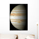 Jupiter Mosaic Wall Decal