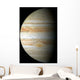 Jupiter Mosaic Wall Decal
