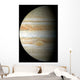 Jupiter Mosaic Wall Decal