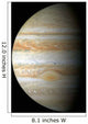 Jupiter Mosaic Wall Decal