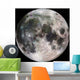 Full Moon Wall Decal Design 1
