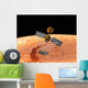 Mars Reconnaissance Orbiter Wall Decal Design 2