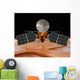 Artist's Concept Mars Reconnaissance Wall Decal