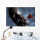 Artist's Concept Deep Impact's Wall Decal