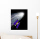 Stardust Spacecraft Wall Decal