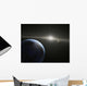 Massive Asteroid Belt Orbit Wall Decal