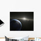 Massive Asteroid Belt Orbit Wall Decal