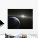 Massive Asteroid Belt Orbit Wall Decal