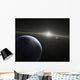 Massive Asteroid Belt Orbit Wall Decal
