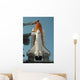 Space Shuttle Discovery Full Wall Decal