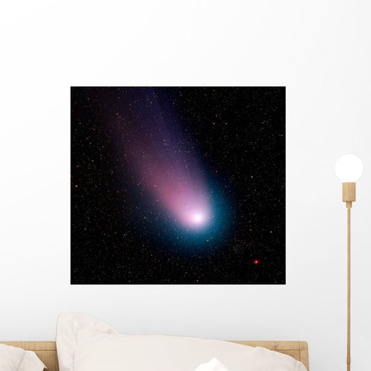 Image Comet C 2001 Wall Decal