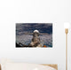 Soyuz Tma-6 Spacecraft Wall Decal Design 2