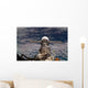 Soyuz Tma-6 Spacecraft Wall Decal Design 2