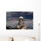 Soyuz Tma-6 Spacecraft Wall Decal Design 2