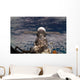 Soyuz Tma-6 Spacecraft Wall Decal Design 2
