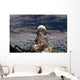 Soyuz Tma-6 Spacecraft Wall Decal Design 2