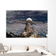 Soyuz Tma-6 Spacecraft Wall Decal Design 2